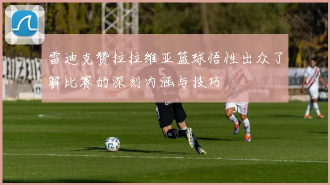 雷迪克赞拉拉维亚篮球悟性出众了解比赛的深刻内涵与技巧