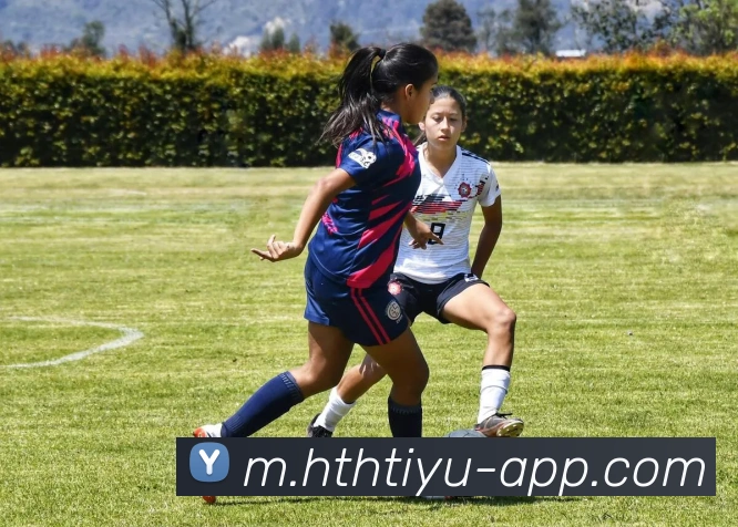 华体会体育平台生态图