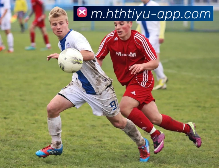 华体会体育APP 封面图